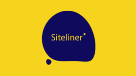 Siteliner is a site analytics tool used to identify issues such as duplicate content, broken links, and other problems that can affect site quality.